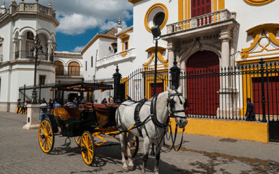 Paseo por el entorno de la Maestranza de Sevilla